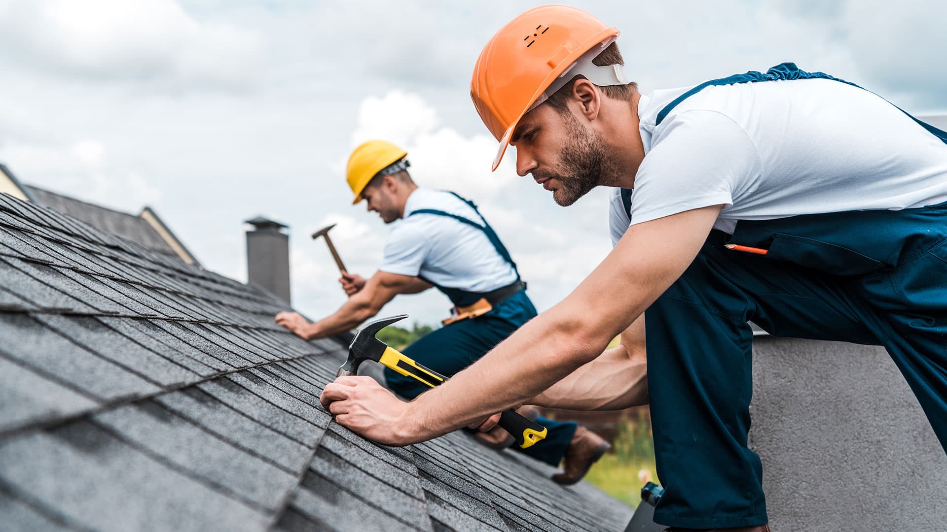 Property Maintenance
